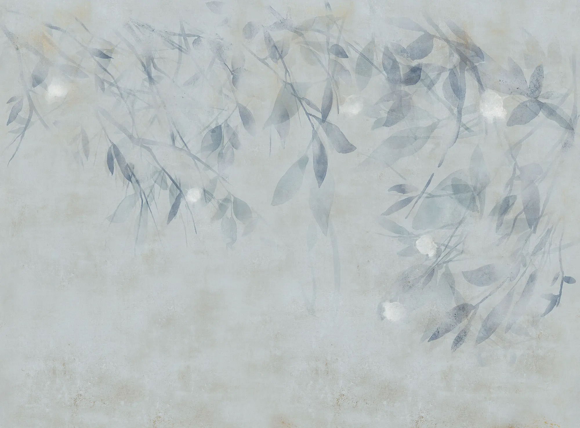 TECNOGRAFICA - Willow Cold