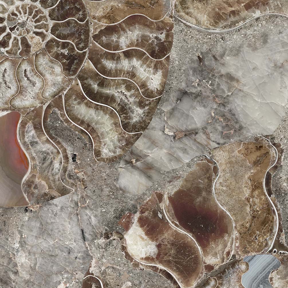 Shell 2