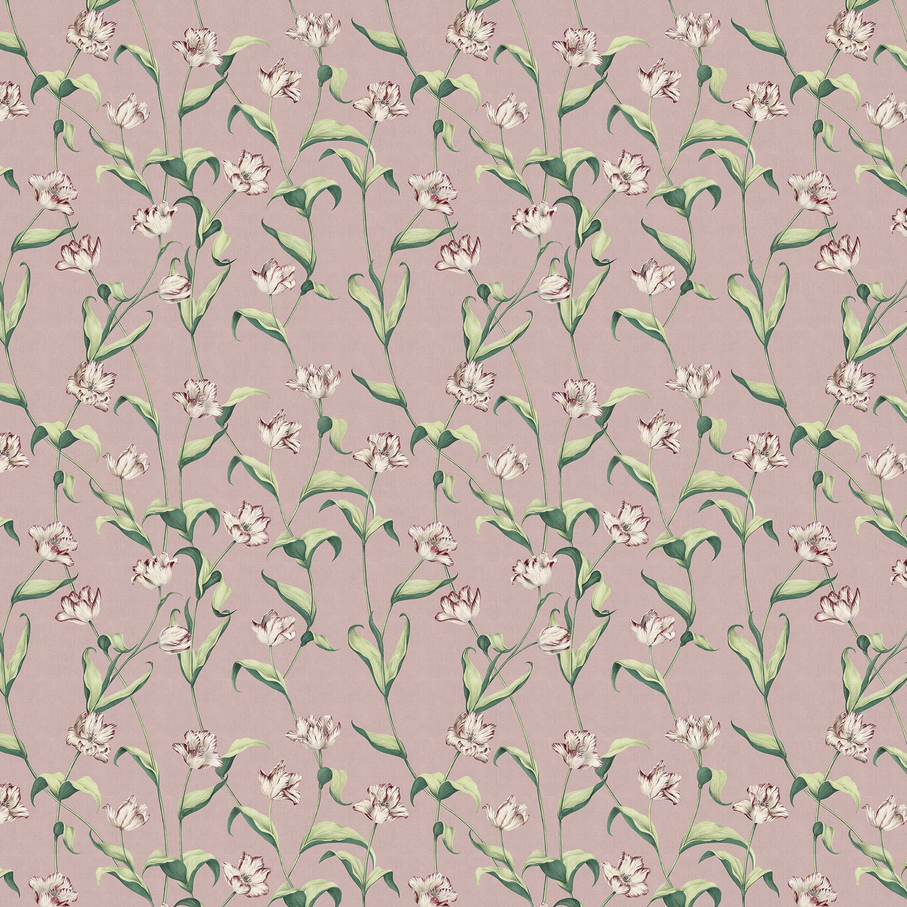 Cordelia Powder Rose Small
