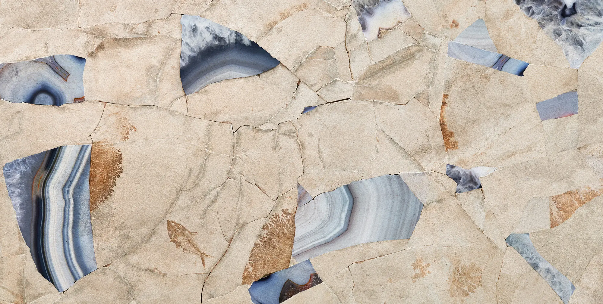 TECNOGRAFICA - Fossil Butterfly 1