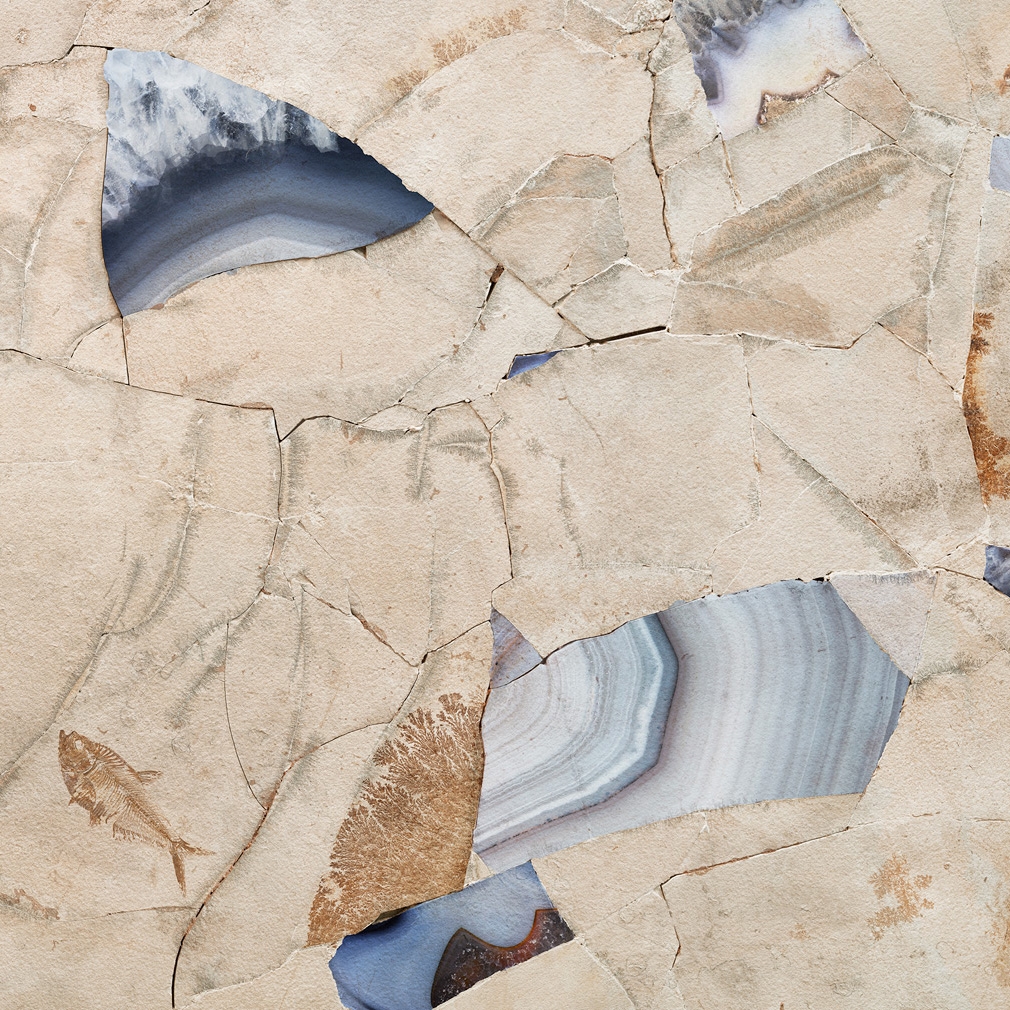 Display product Fossil Butterfly 1 from manufacturer TECNOGRAFICA
