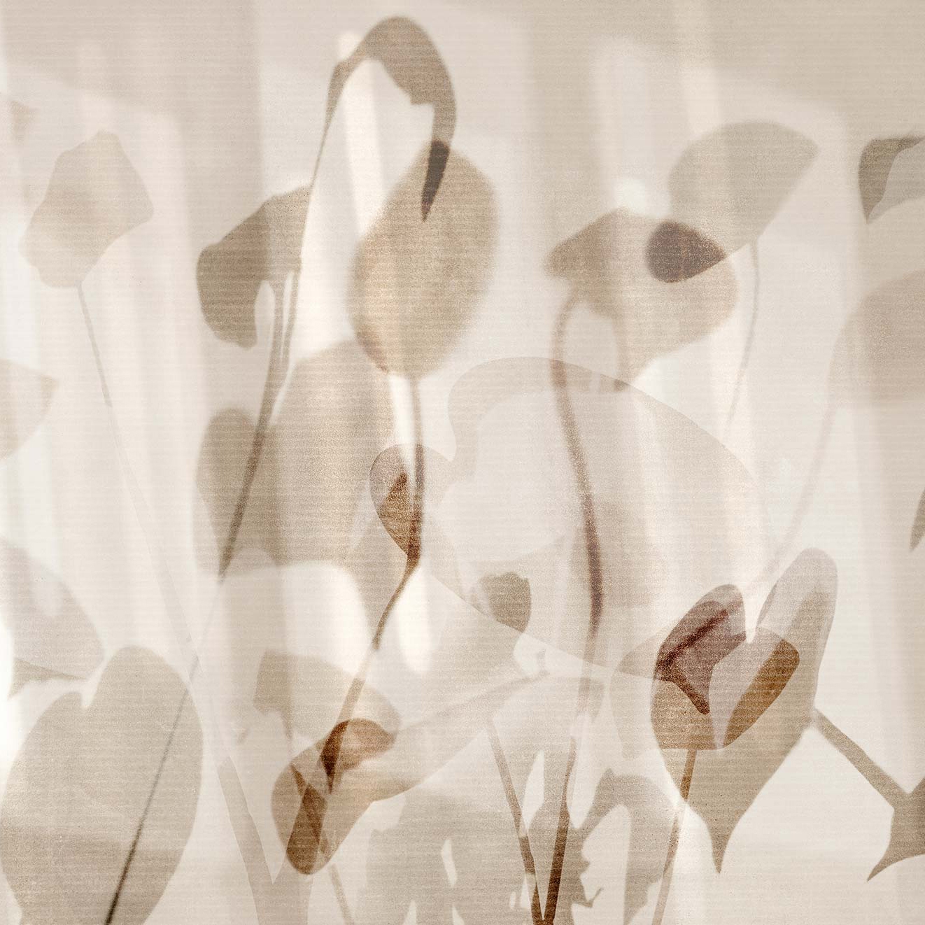 Neta Beige