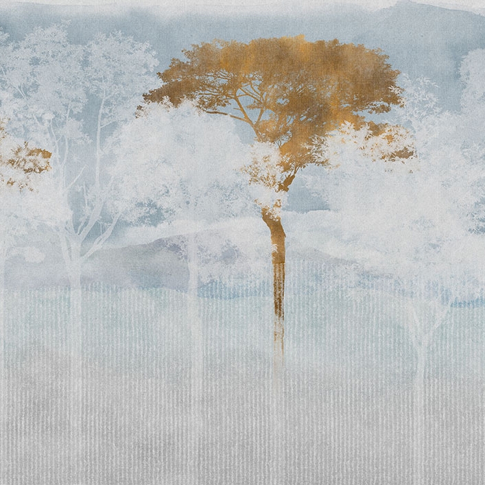 Japan Forest Sky