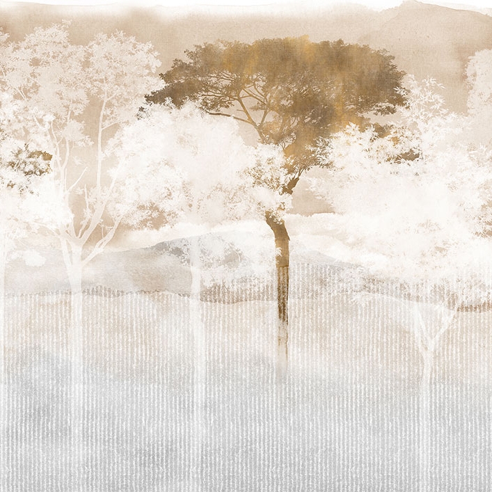 Japan Forest Sunset