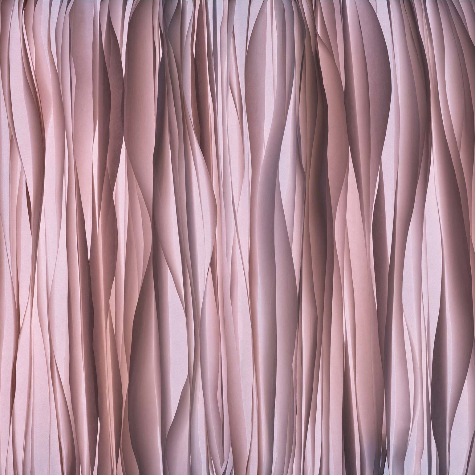 Chiffon Rosa