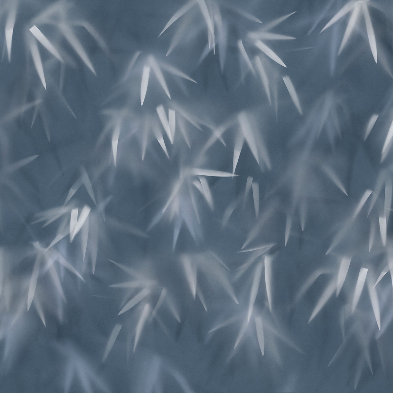 Display product Haze Blue from manufacturer TECNOGRAFICA