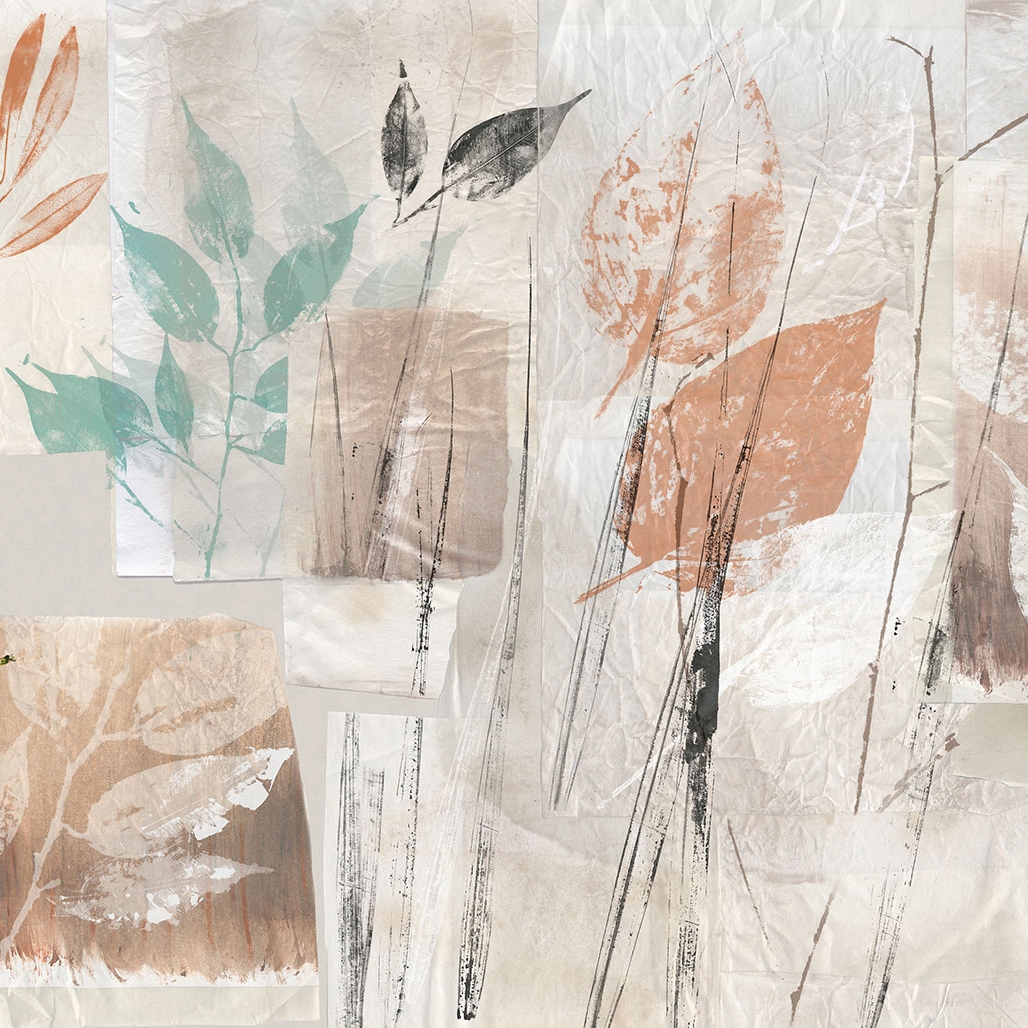 Display product Botanical Study Color from manufacturer TECNOGRAFICA