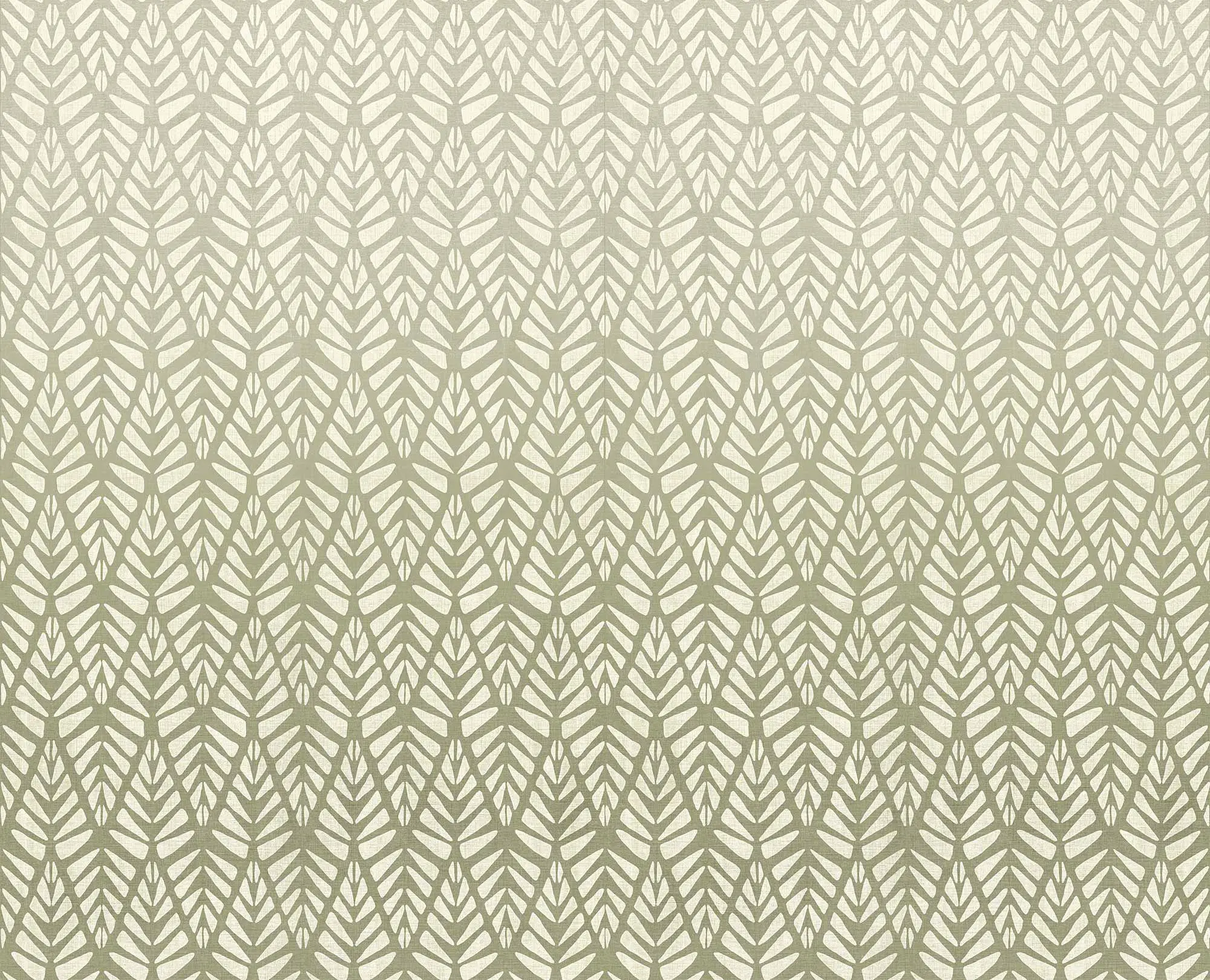 TECNOGRAFICA - Rau Olive