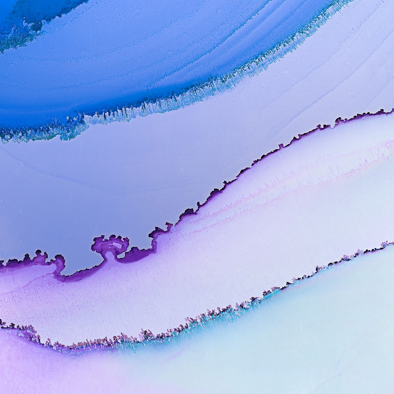 Display product Creamfields Violet from manufacturer TECNOGRAFICA