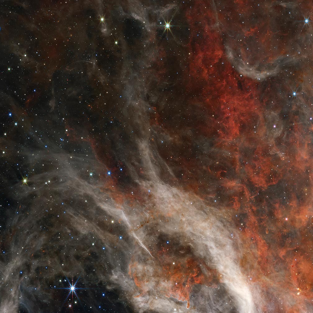 Display product Tarantula Nebula 1 from manufacturer TECNOGRAFICA
