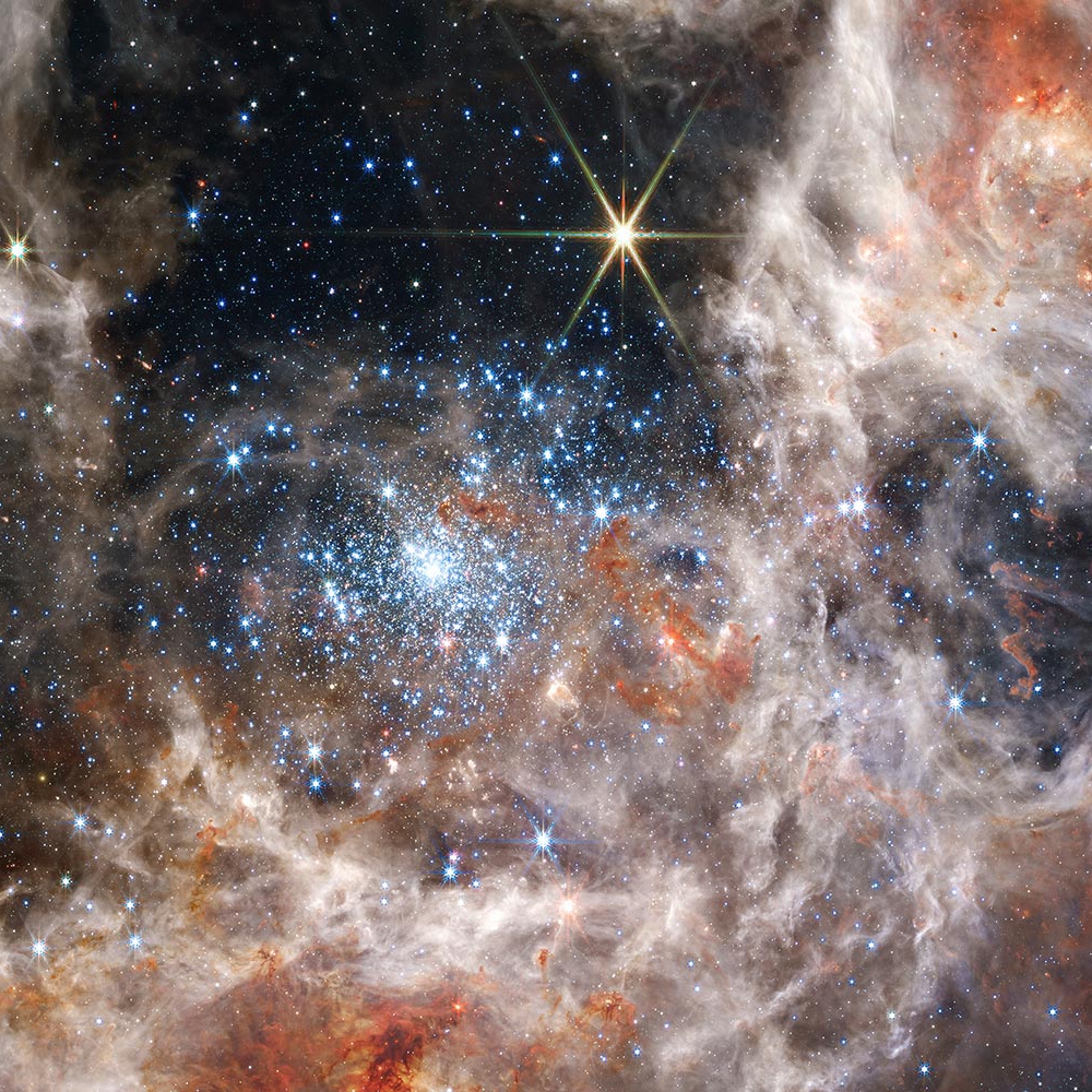 Display product Tarantula Nebula 2 from manufacturer TECNOGRAFICA
