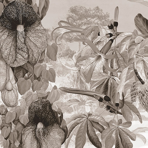 Paradiso 23 Sepia