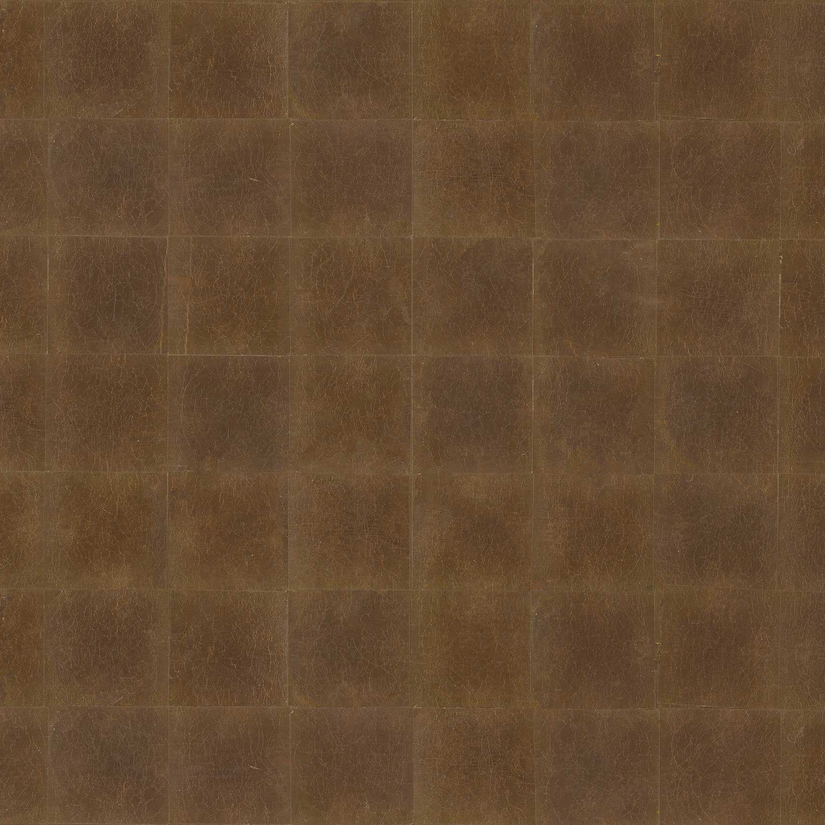 Mostra il prodotto Vite Viva Brown B del produttore TECNOGRAFICA