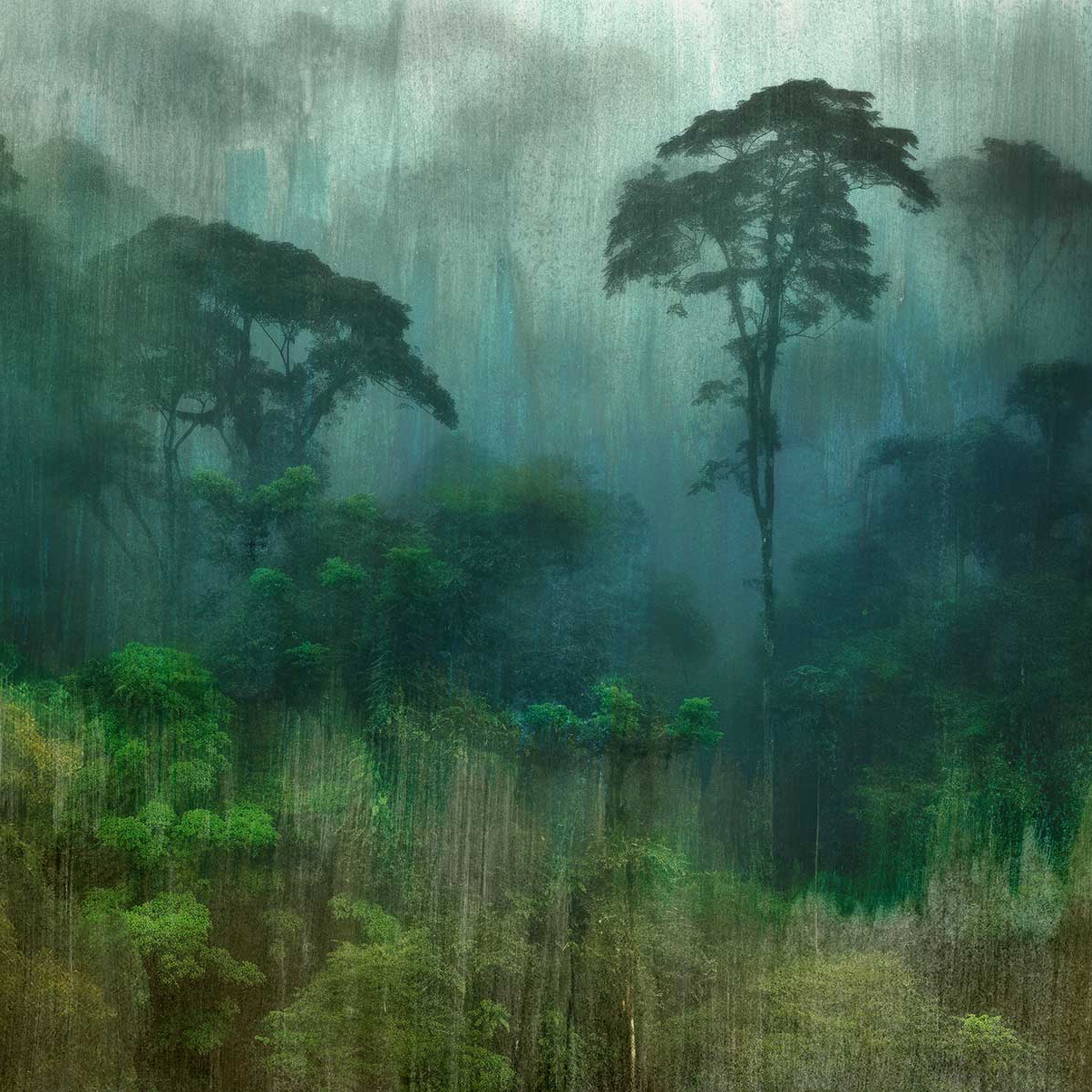 Mostra il prodotto Amazzonia Green del produttore TECNOGRAFICA