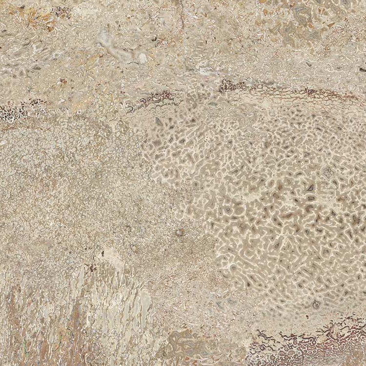 Arizona Bones Beige 1