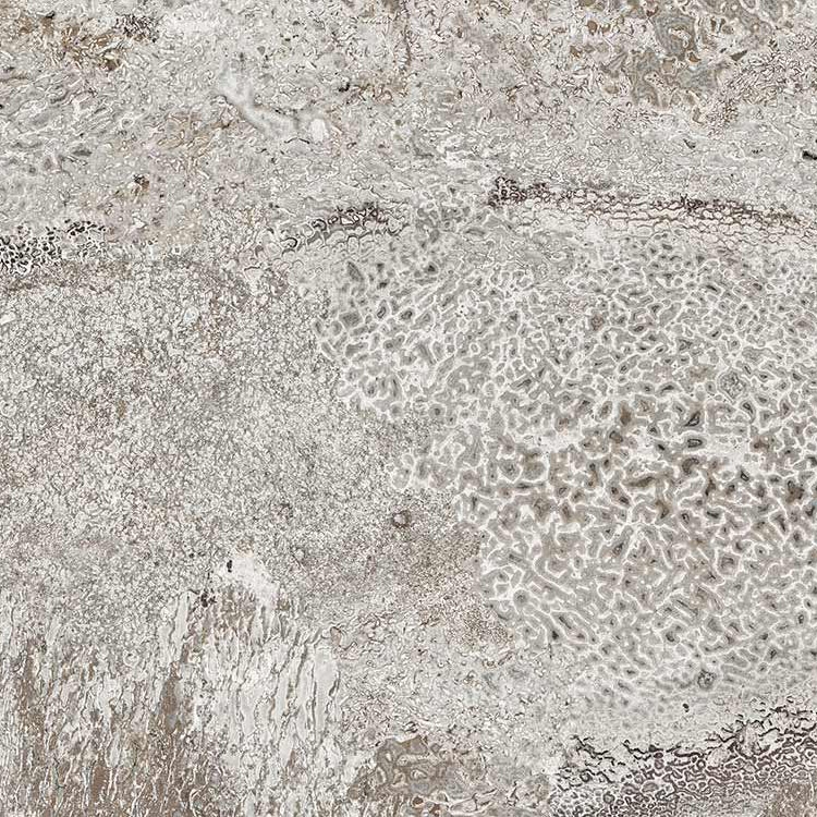 Display product Arizona Bones Grey 1 from manufacturer TECNOGRAFICA