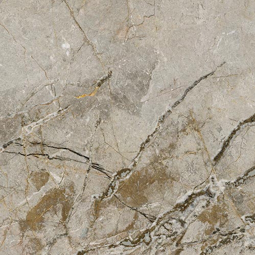 Display product Silver Roots 1 from manufacturer TECNOGRAFICA