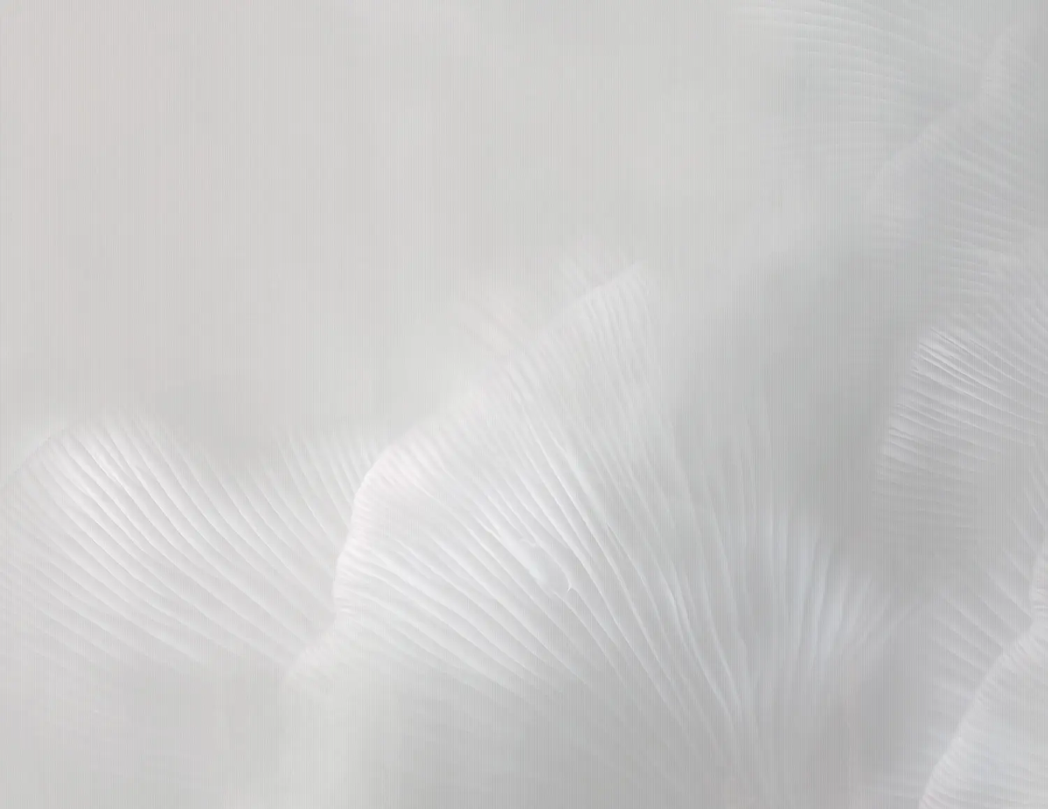 TECNOGRAFICA - Siren Song Pearl A