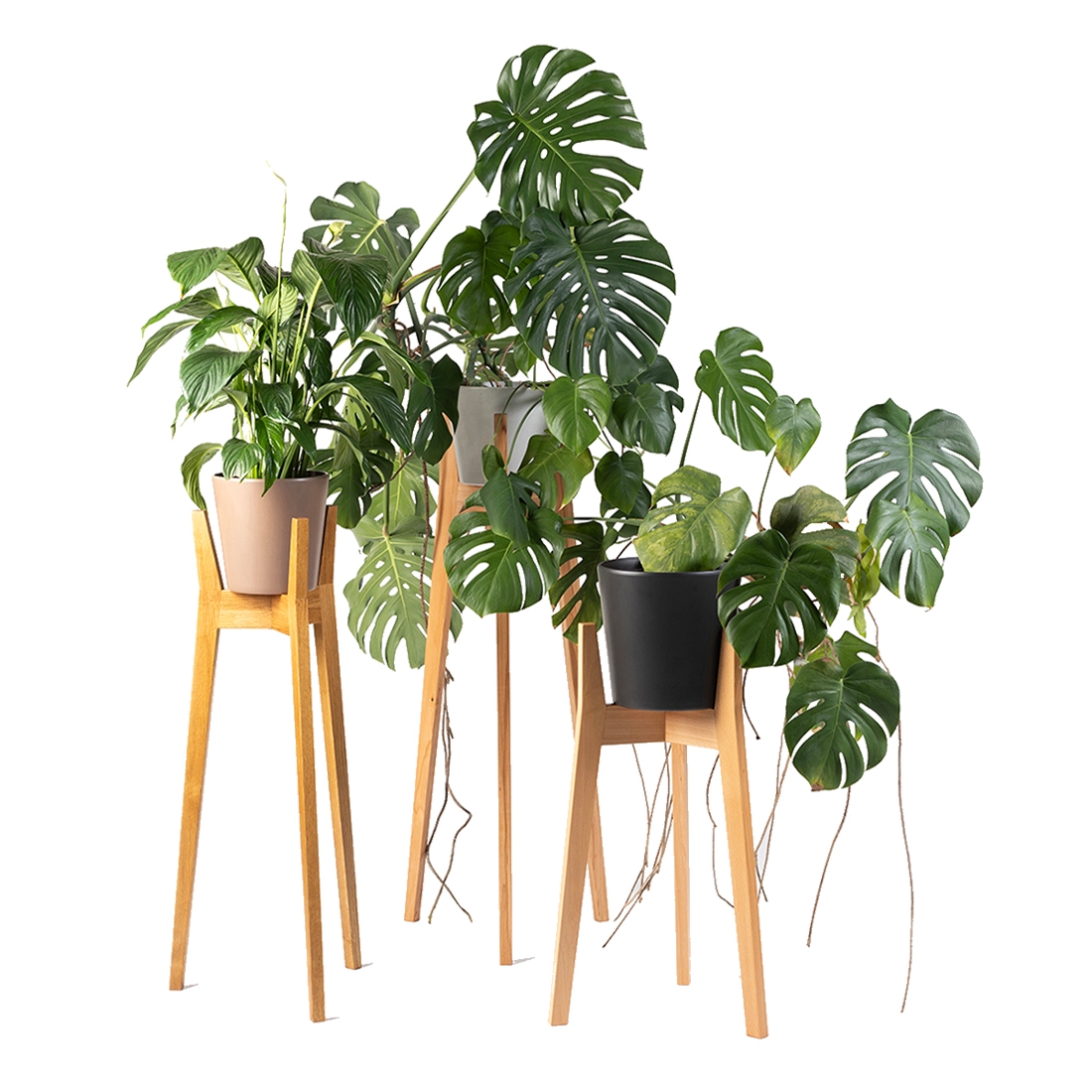 Display product THEO flower stand from manufacturer Sixay Furniture