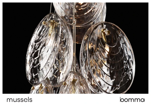 Immagine di anteprima del file mussels collection