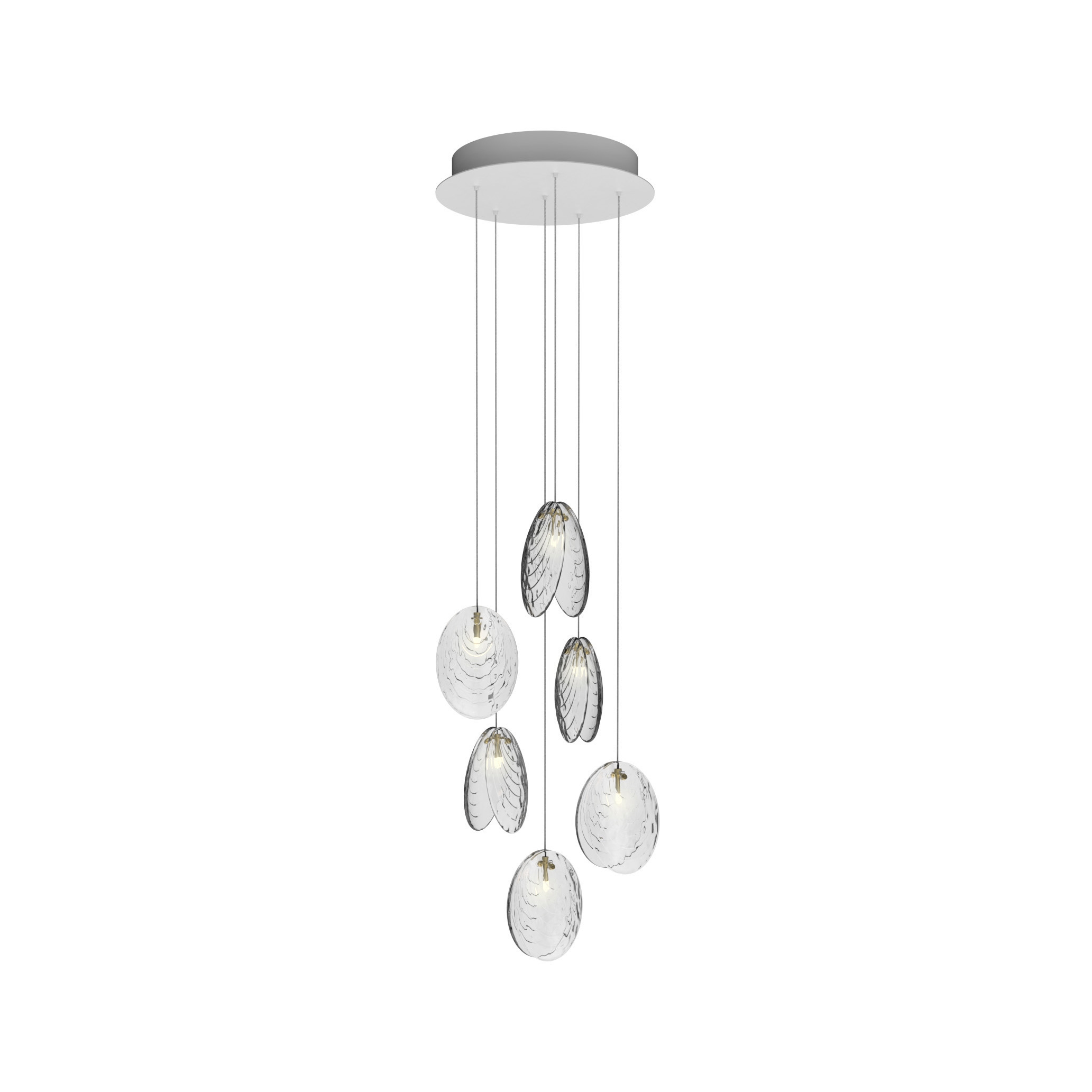 MUSSELS chandelier of 6 pcs