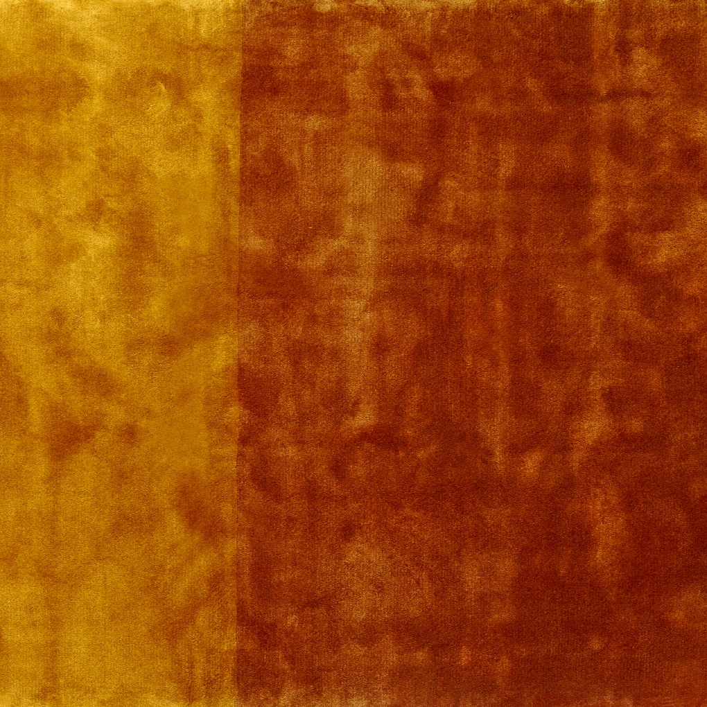 Abstract | Butternut Squash