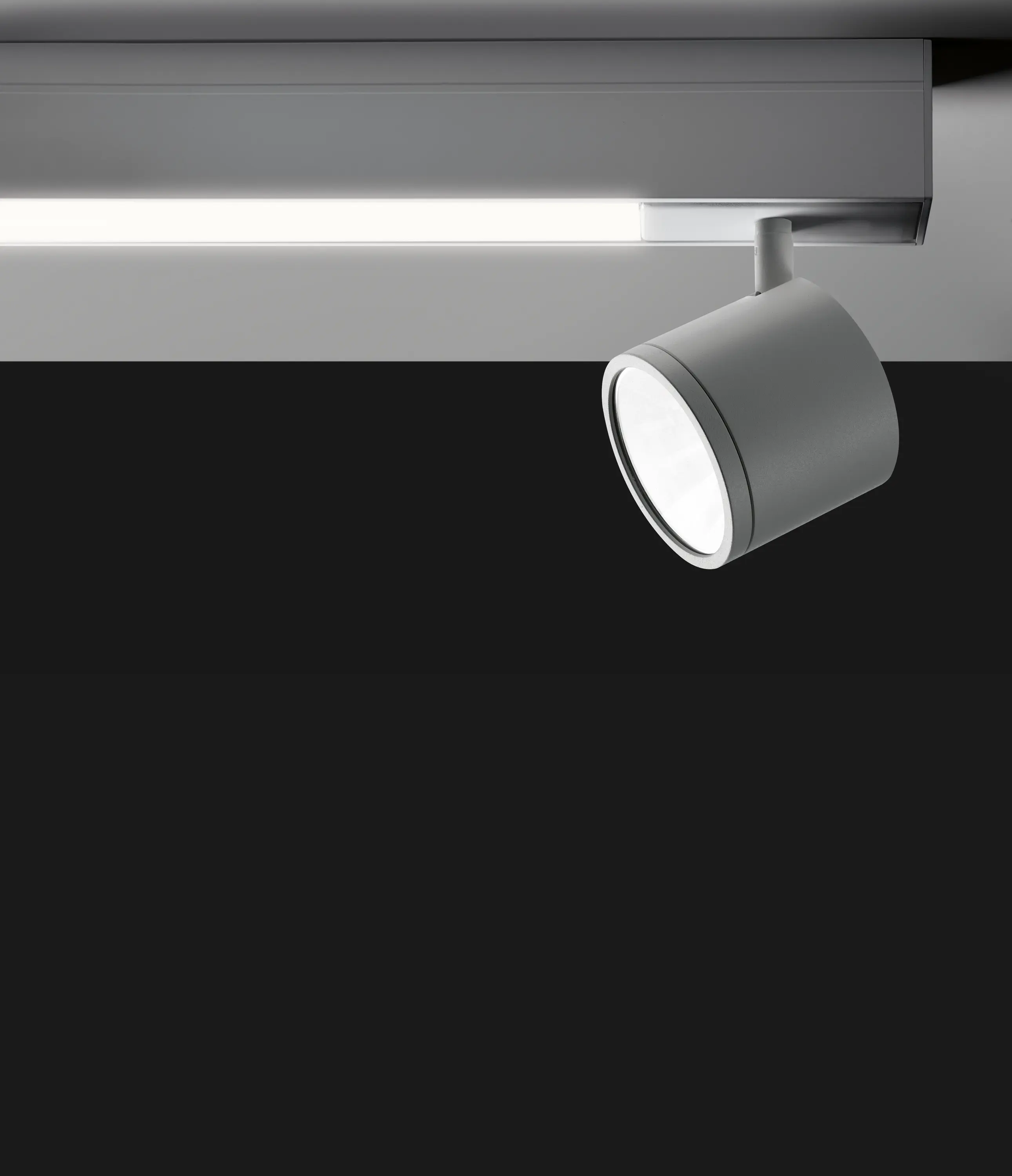 EGOLUCE - Newton Flat Rail