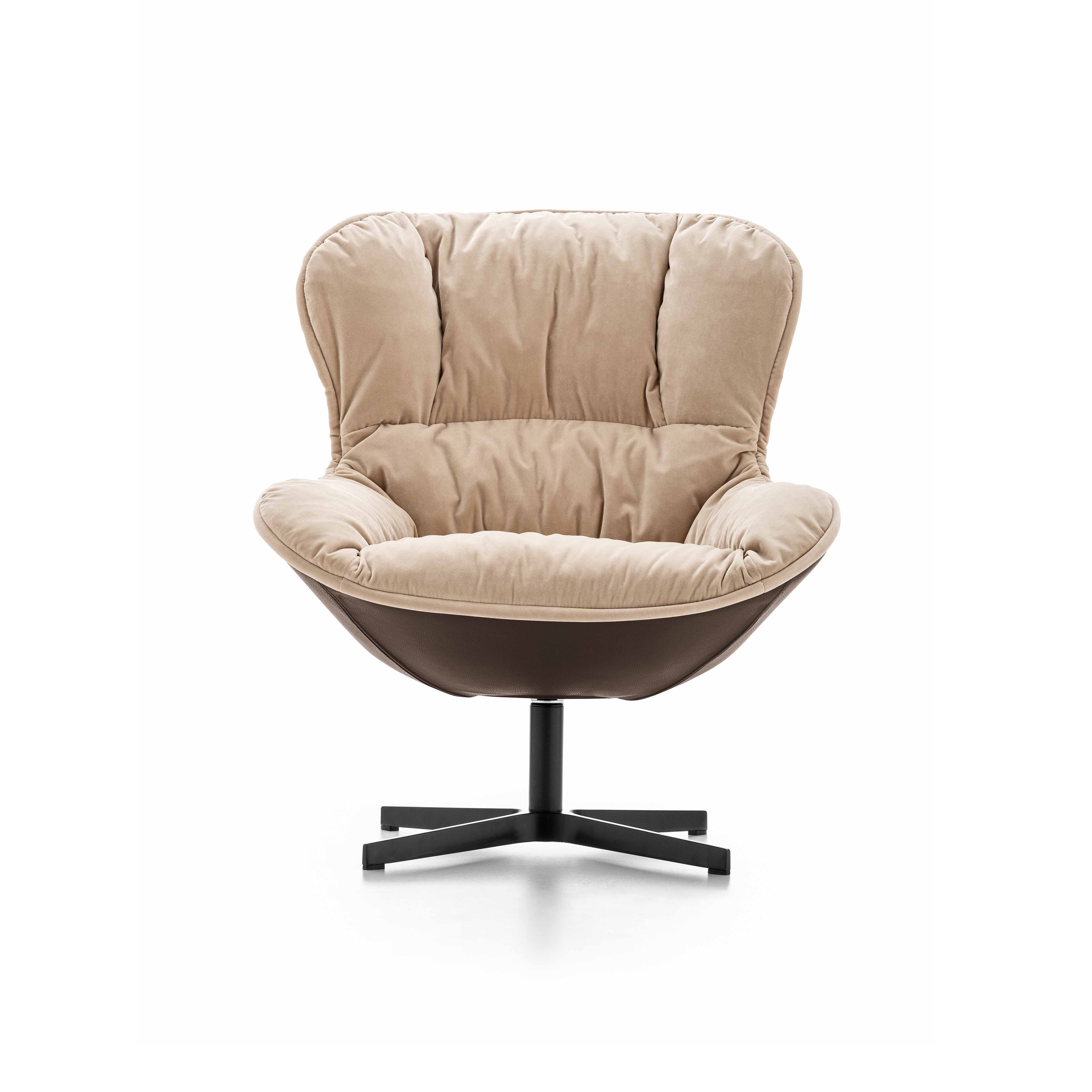 Display product Softy from manufacturer DITRE ITALIA