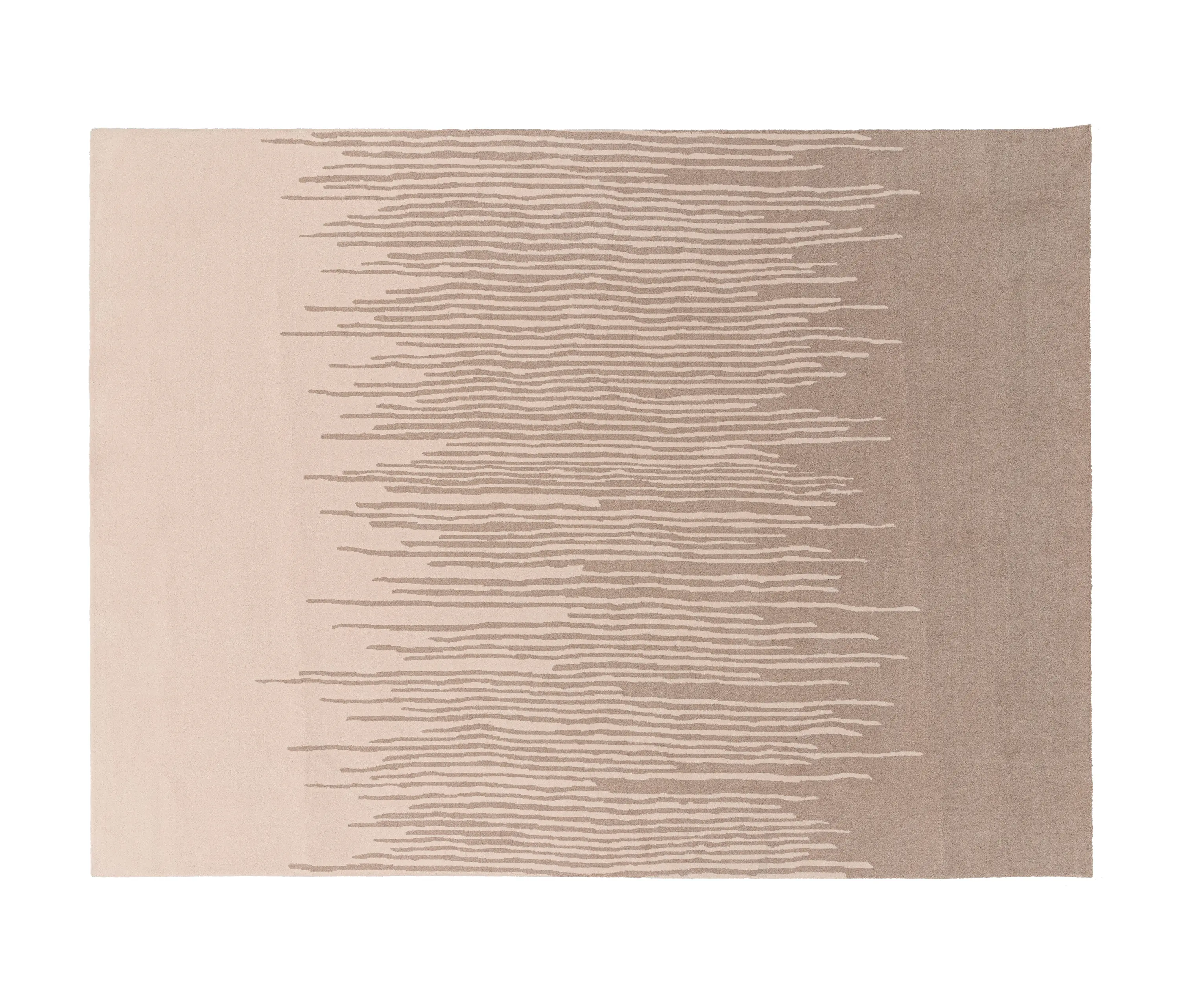 DITRE ITALIA - Reed