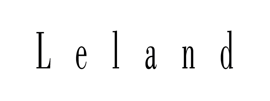 Logo for manufacturer Leland International
