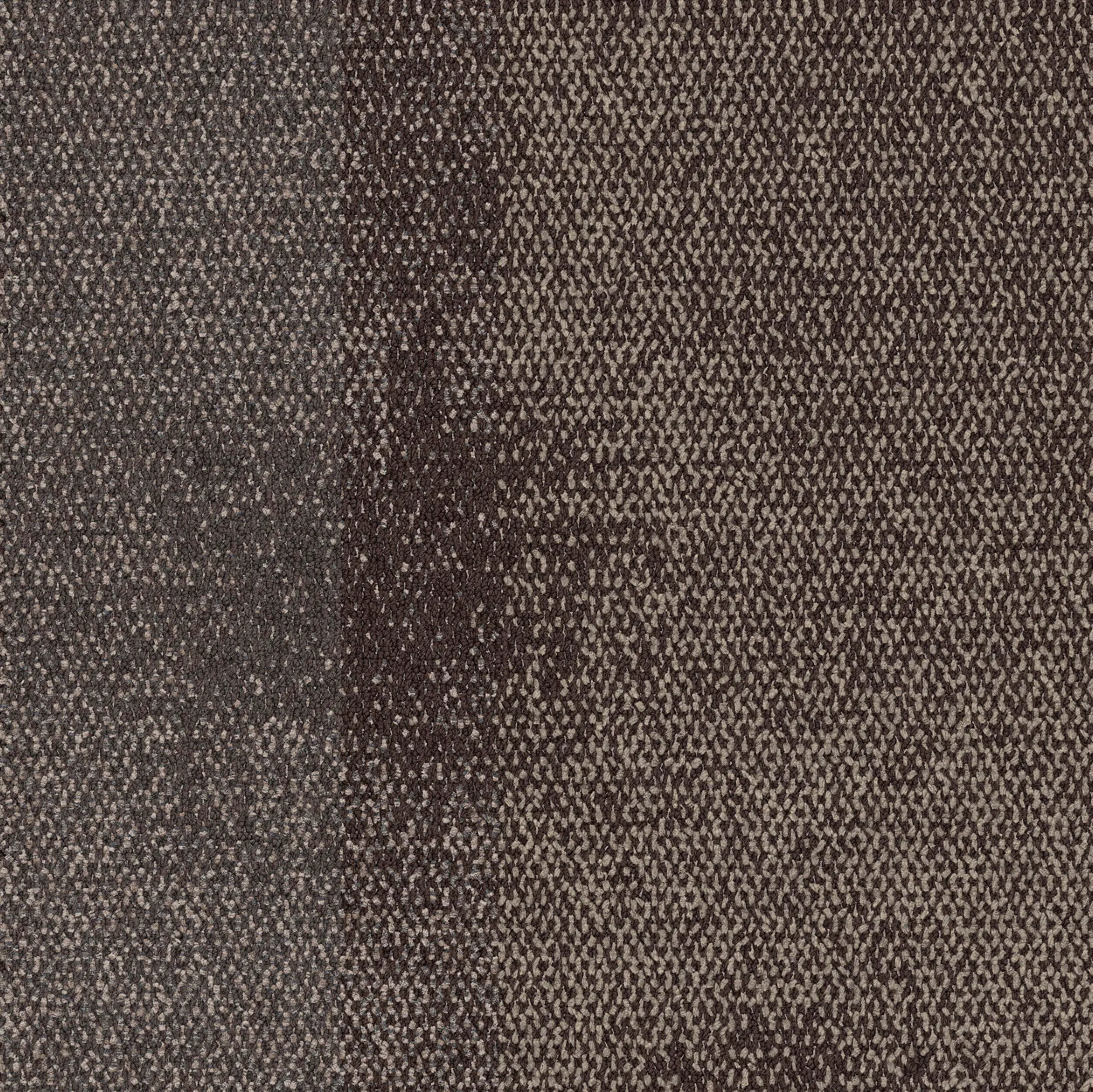 Interface USA - Exposed Tannery