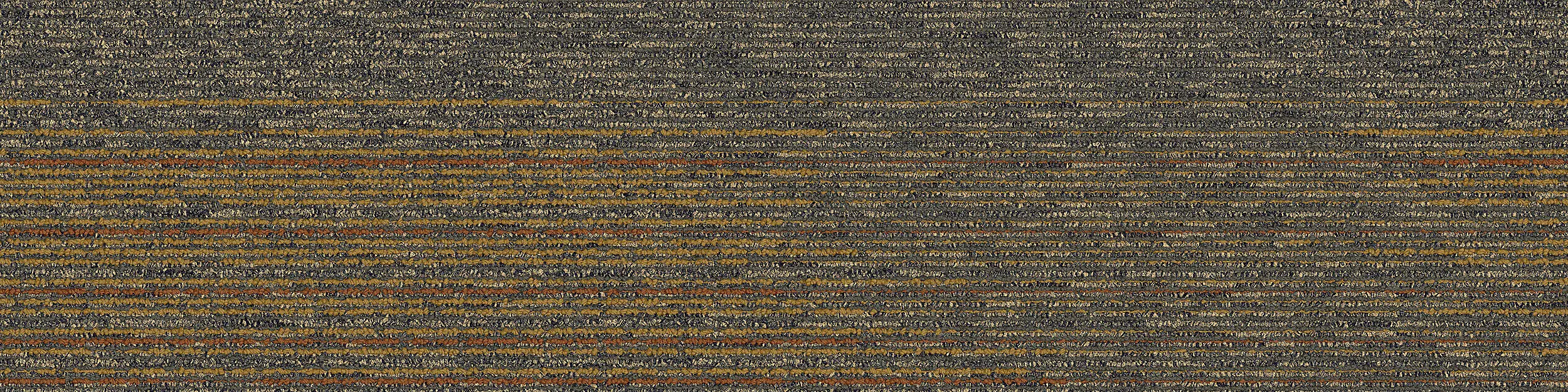 Interface USA - Ground Waves Laurel