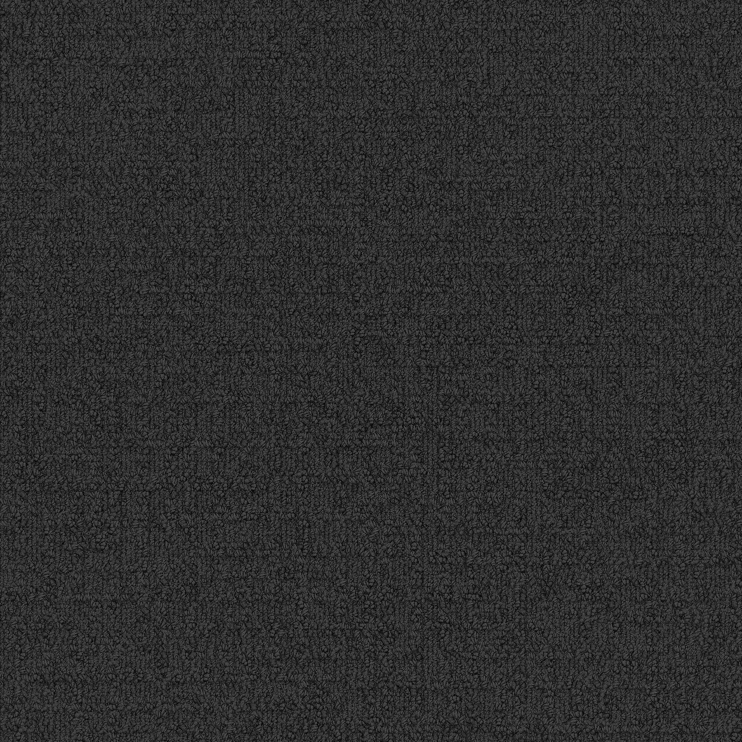 Interface USA - Monochrome Black