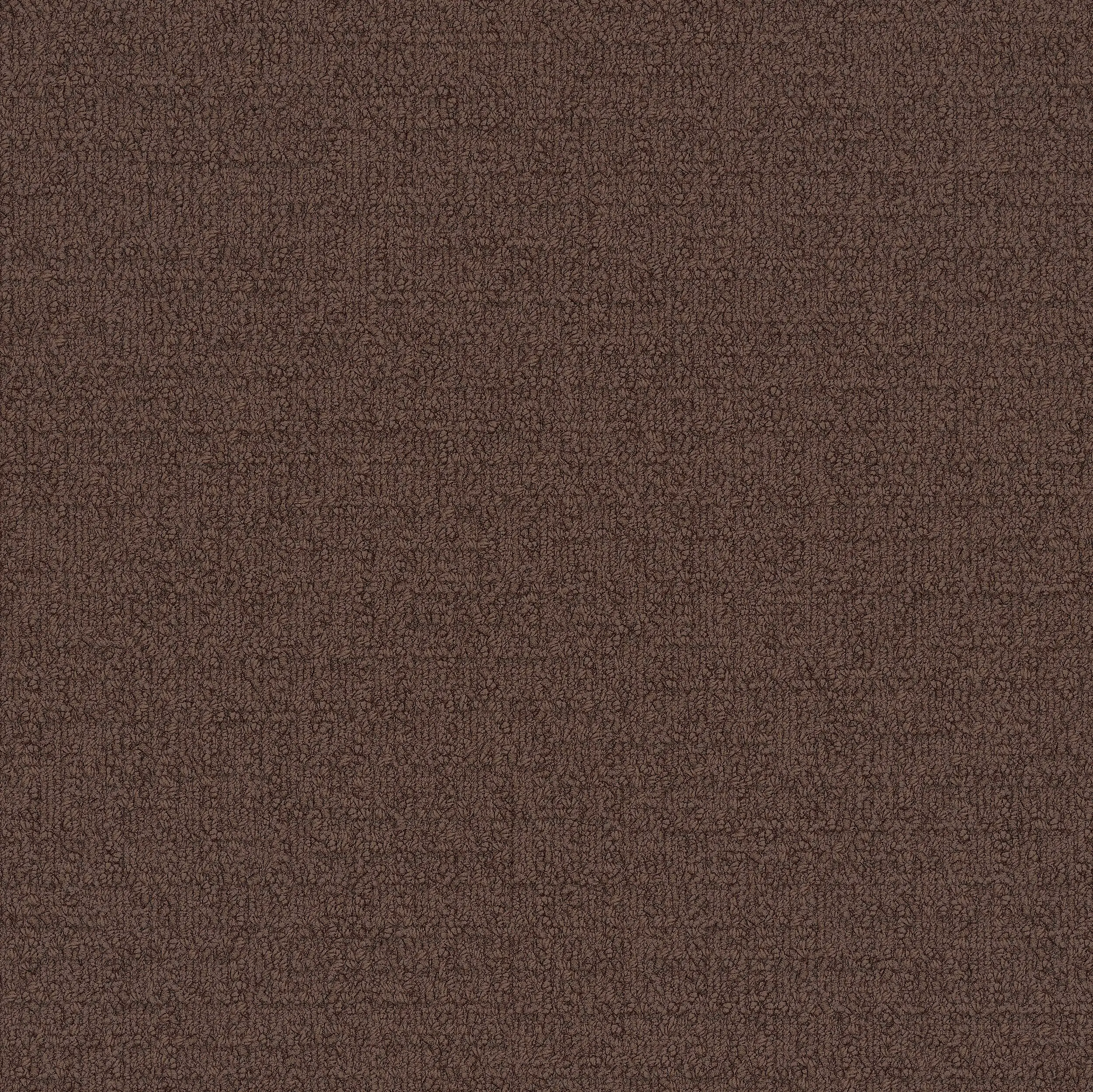 Interface USA - Monochrome Brown