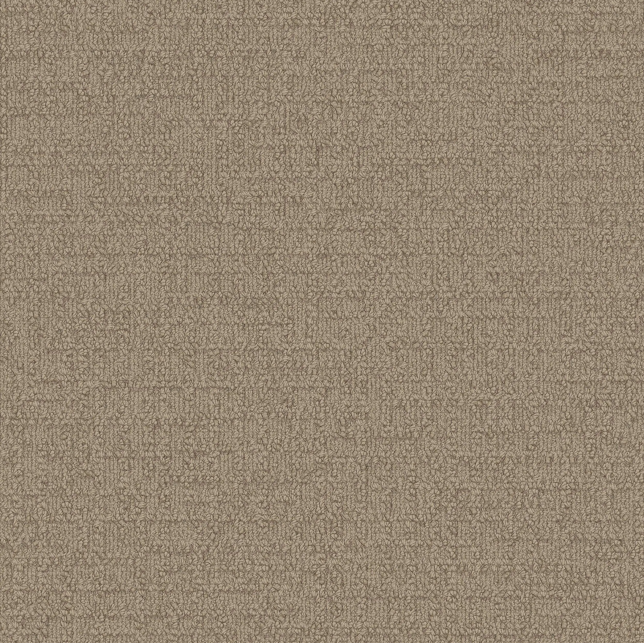 Interface USA - Monochrome Caraway