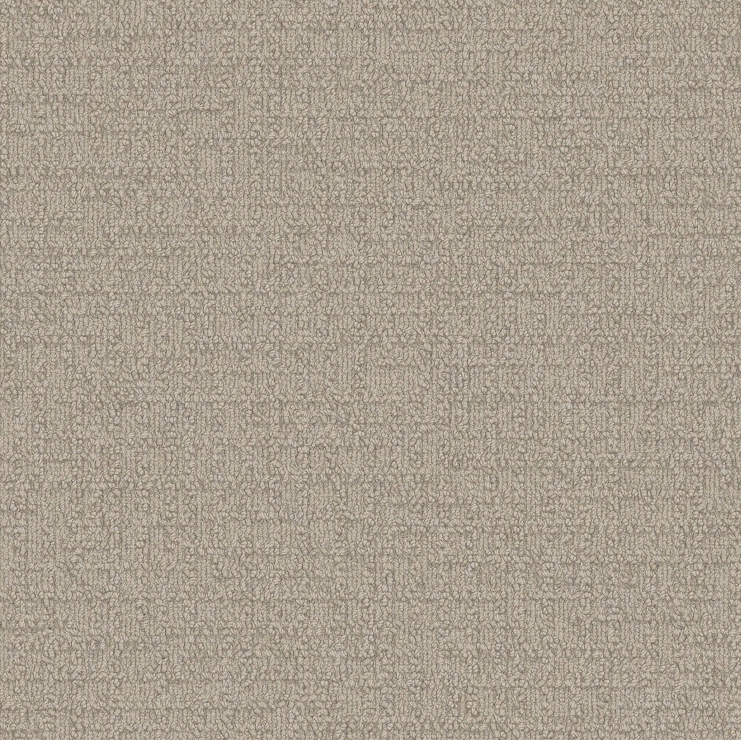 Interface USA - Monochrome Cream