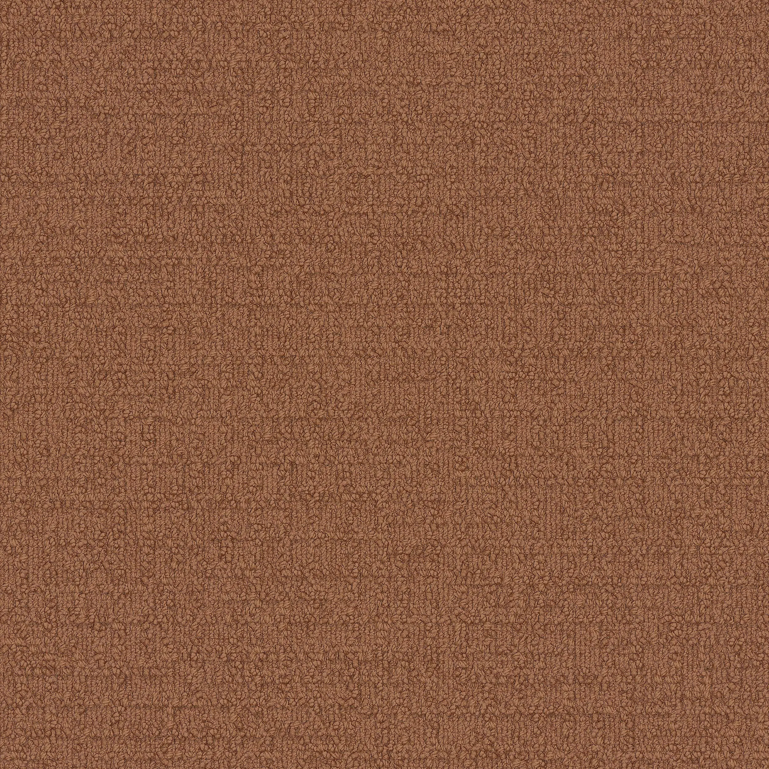 Interface USA - Monochrome Earth Rust