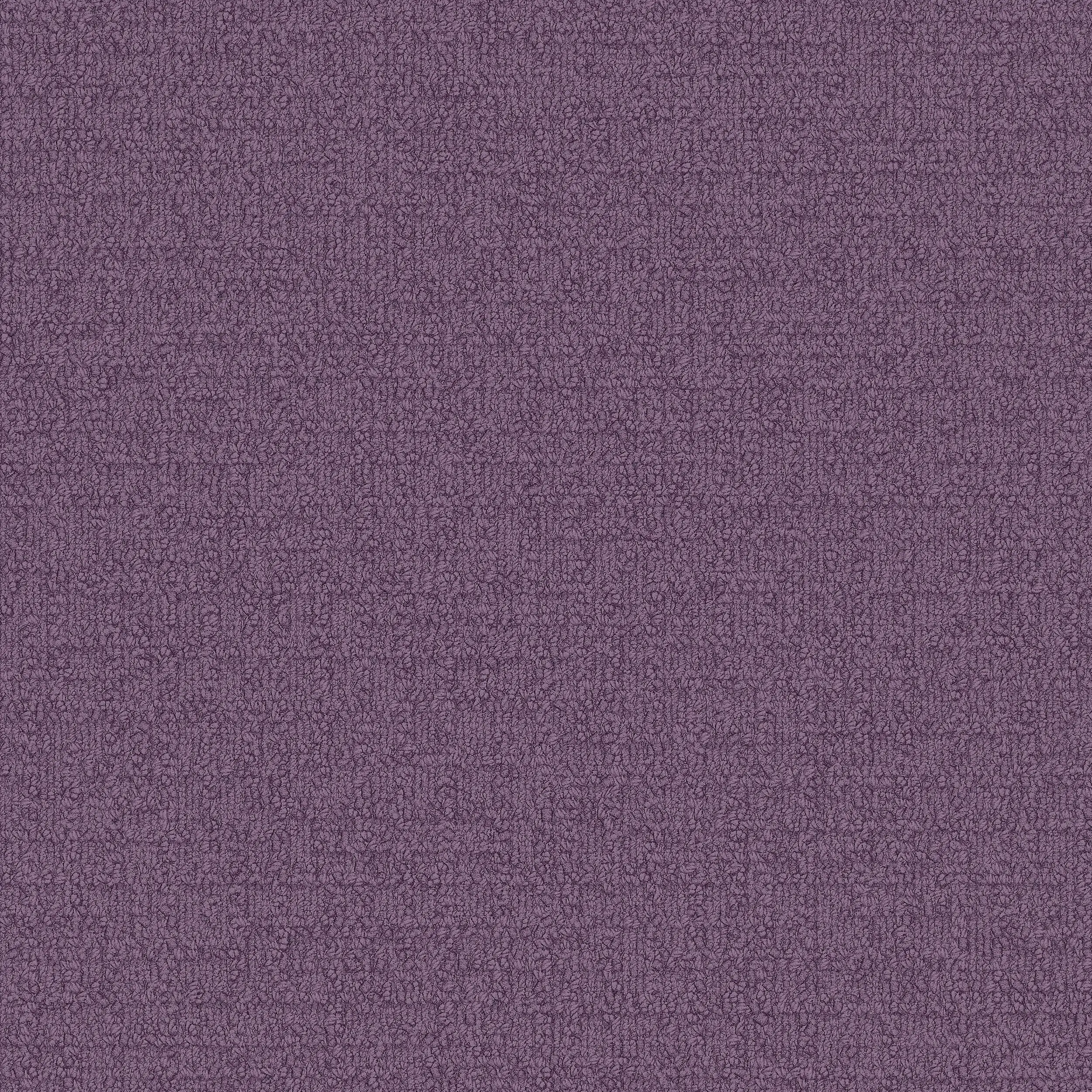 Interface USA - Monochrome Lilac