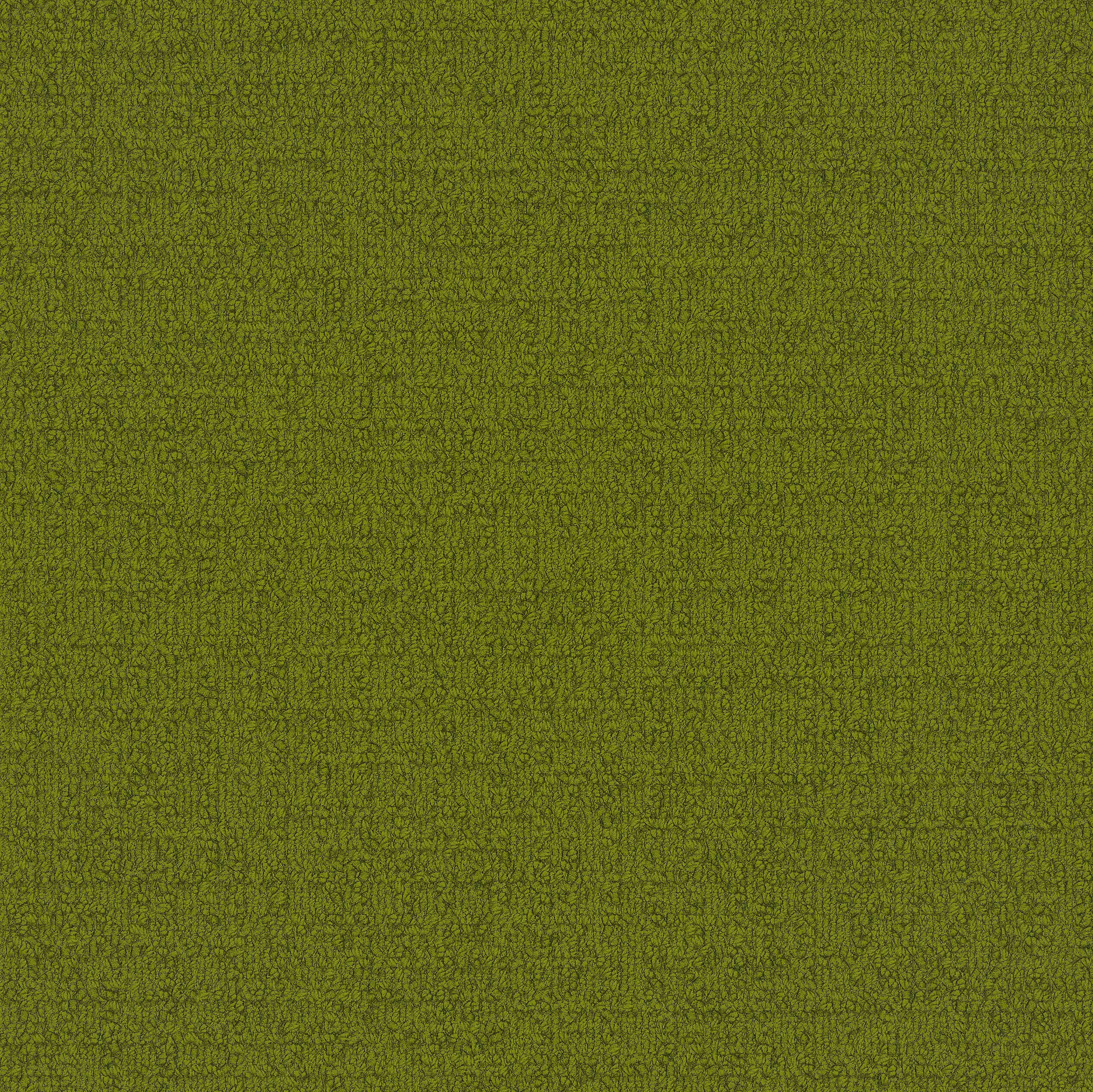 Interface USA - Monochrome Lime