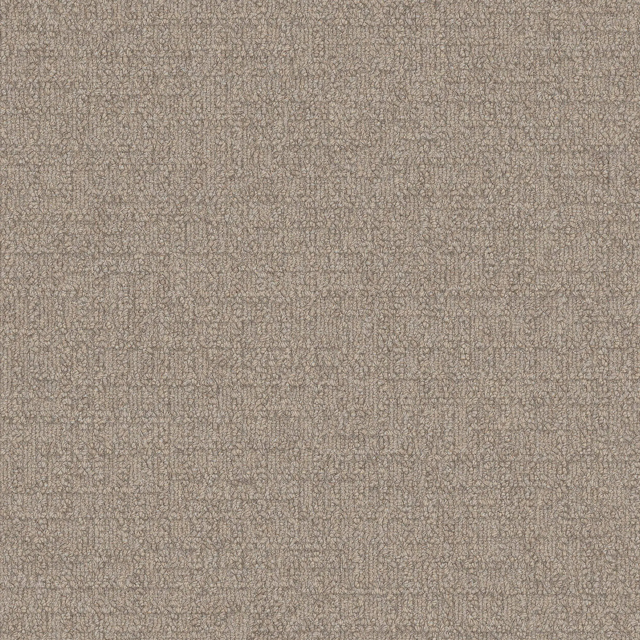 Interface USA - Monochrome Malt