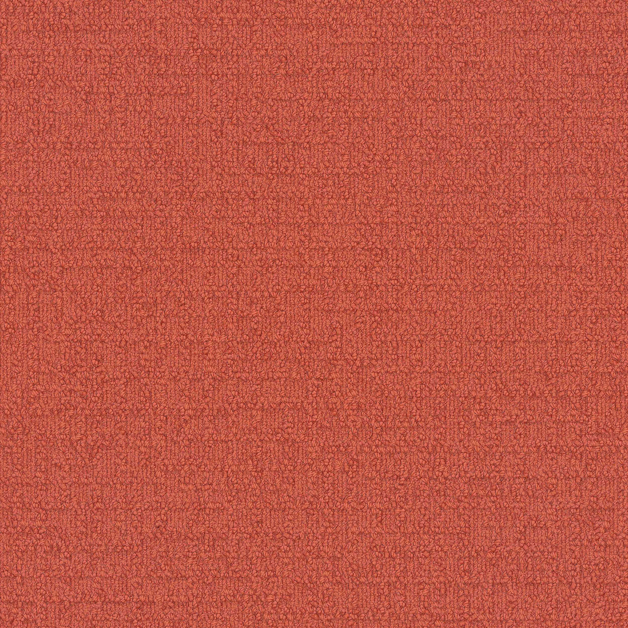 Interface USA - Monochrome Orange