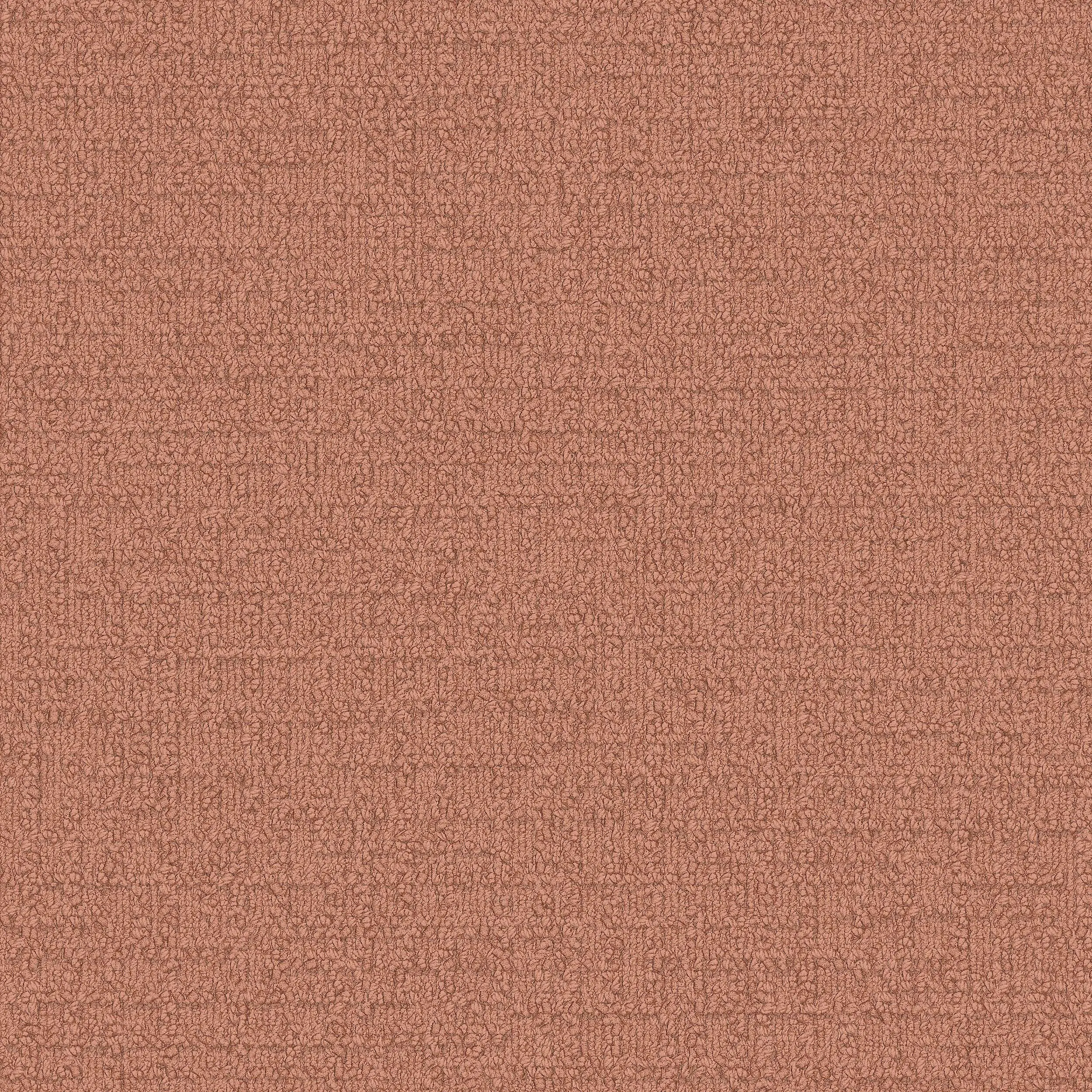 Interface USA - Monochrome Peach