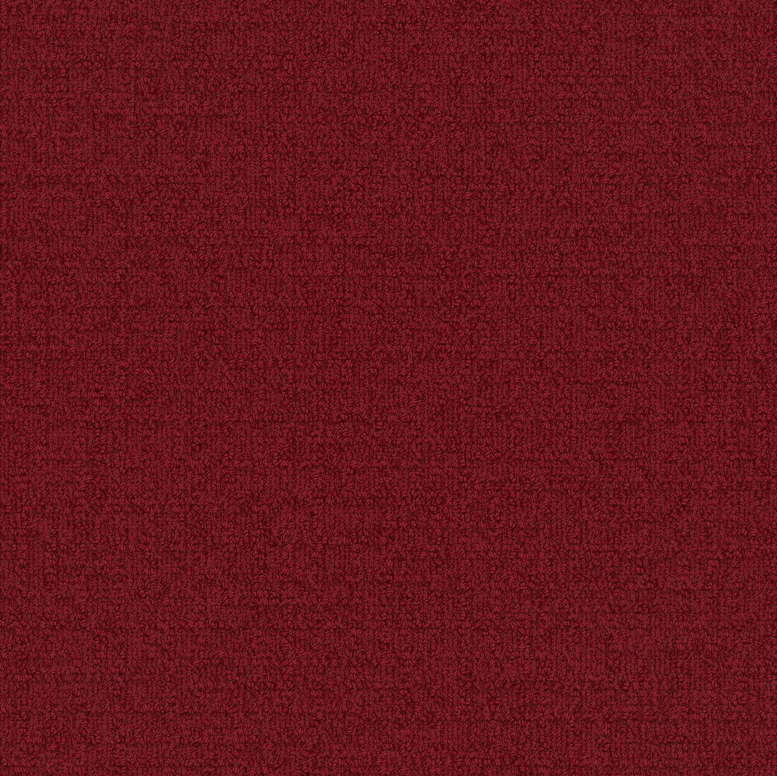 Interface USA - Monochrome Raspberry