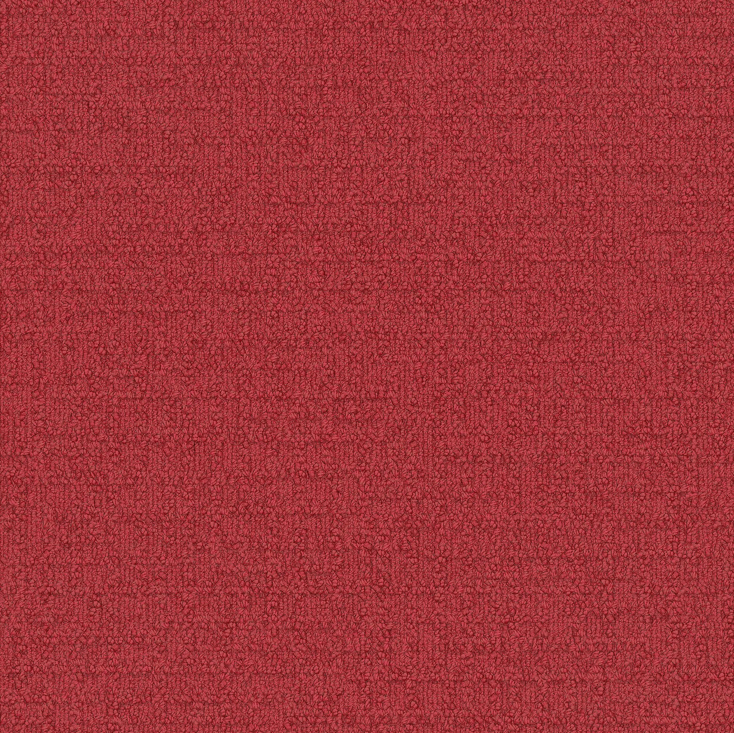 Interface USA - Monochrome Red