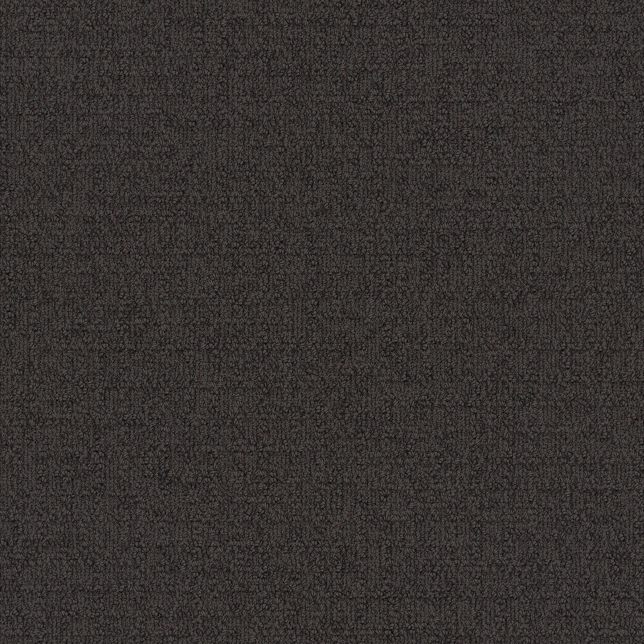 Interface USA - Monochrome Umber