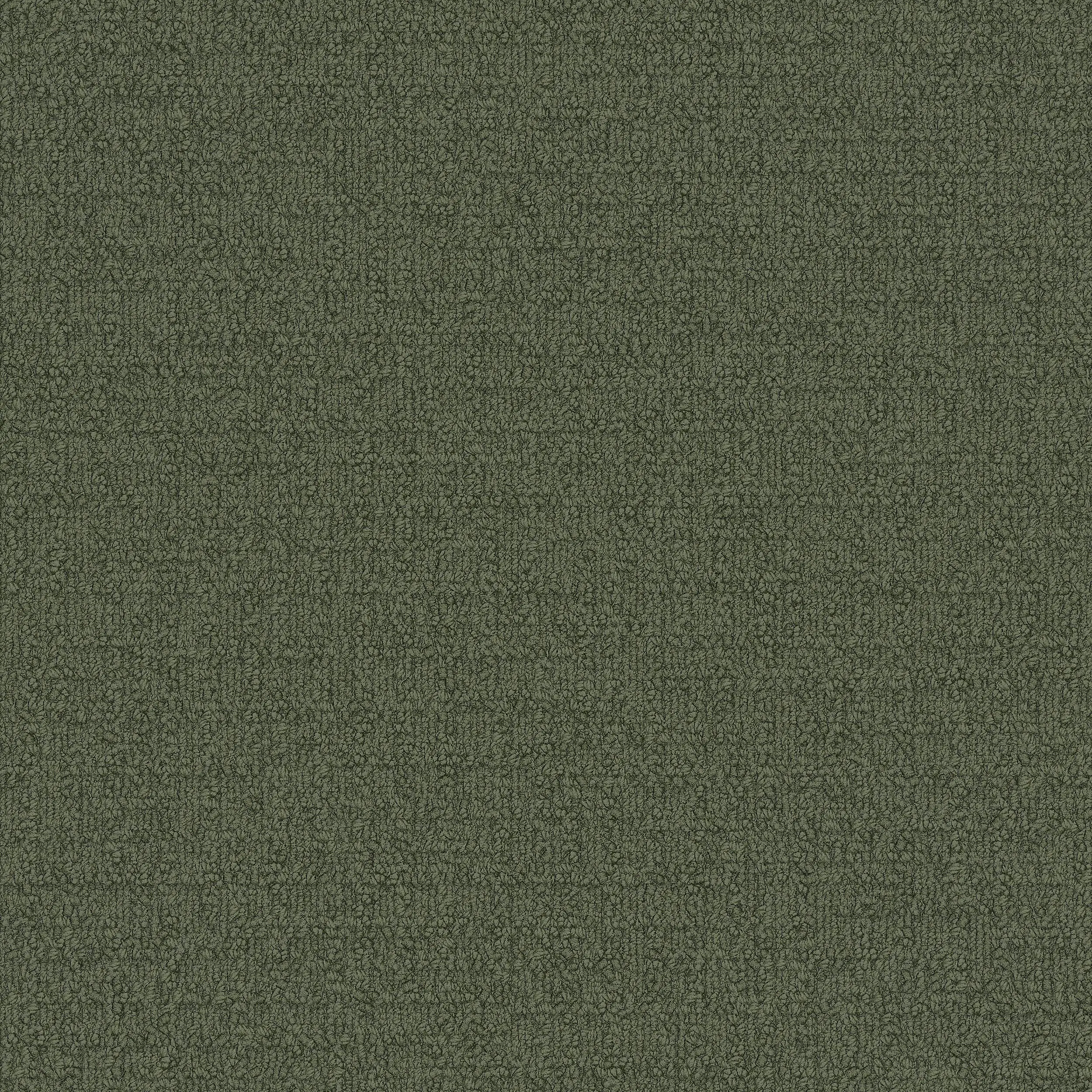 Interface USA - Monochrome Yew