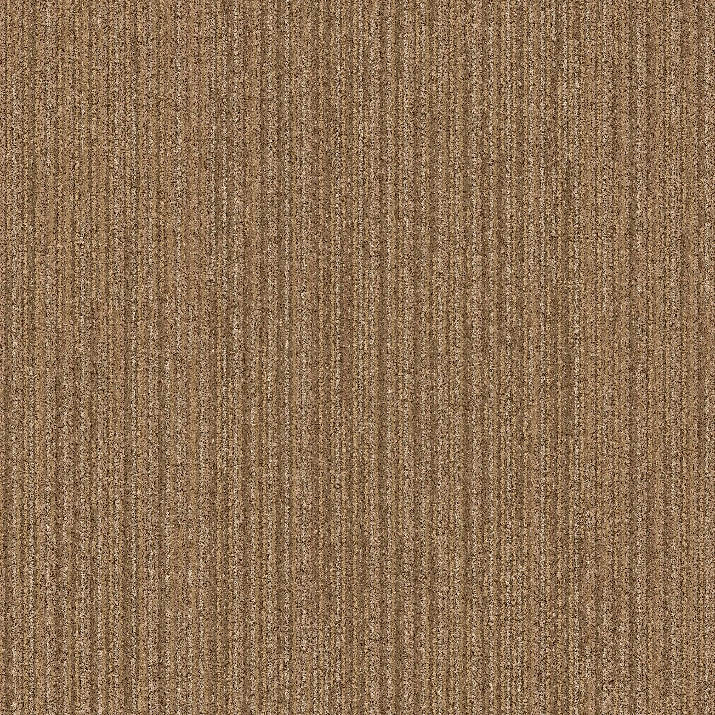 Interface USA - On Board Gingko