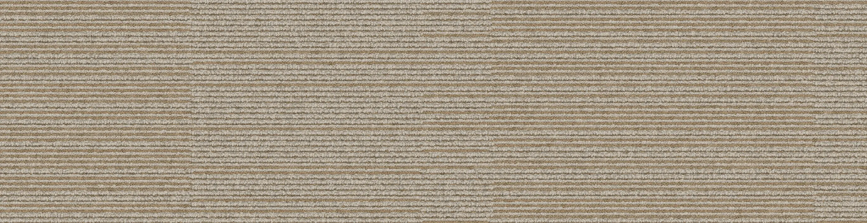 Interface USA - On Line Biscuit
