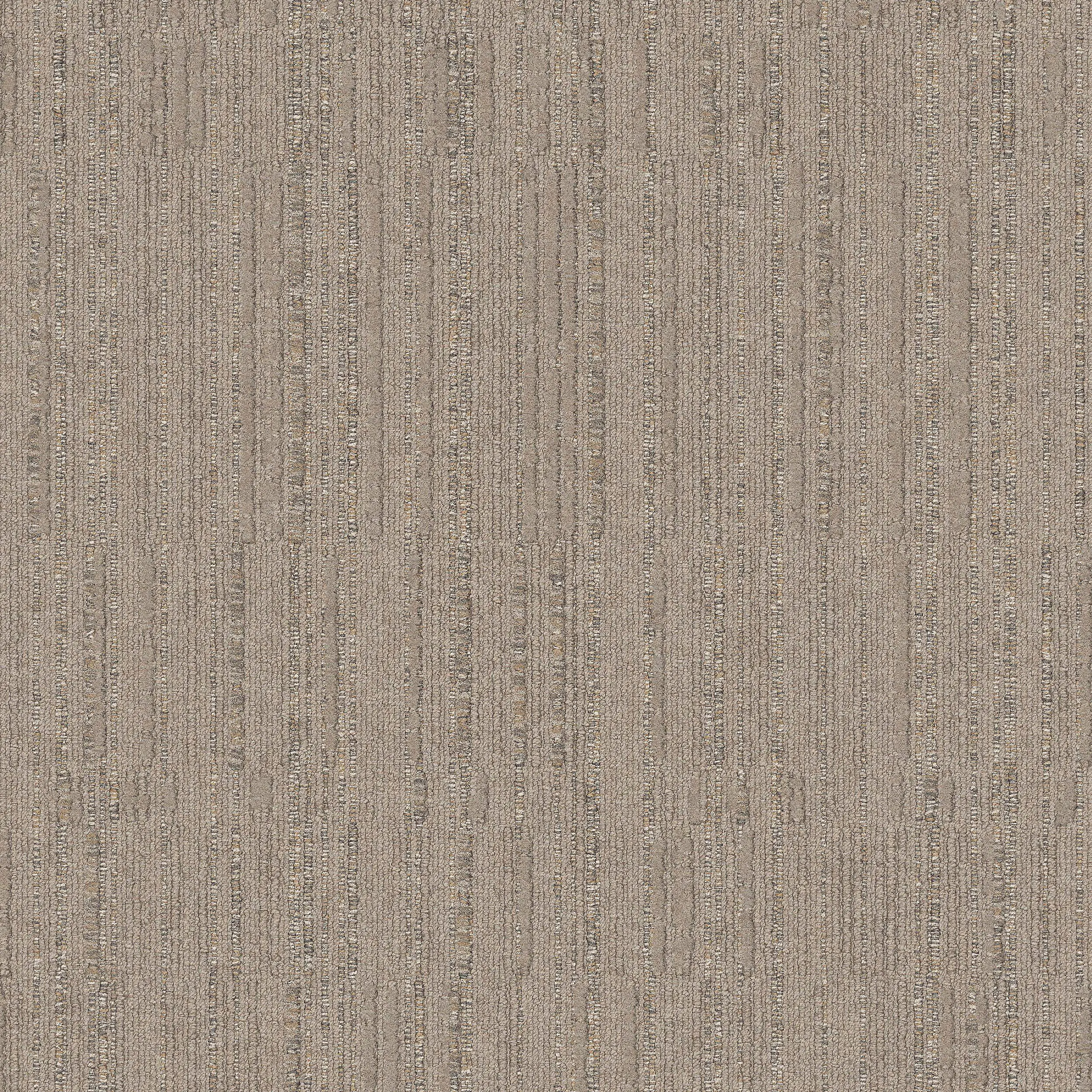 Interface USA - Palindrome Parchment