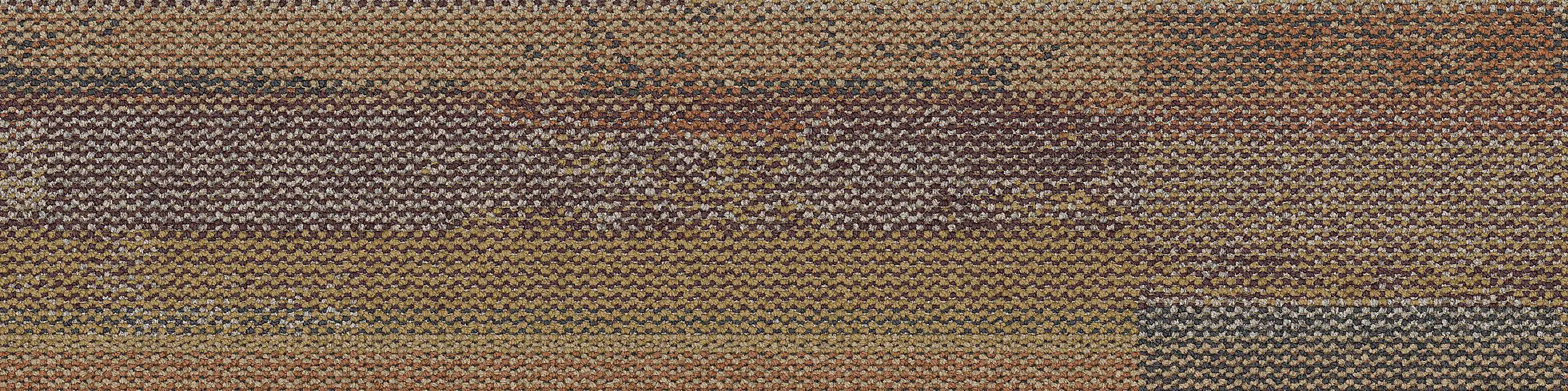 Interface USA - Reclaim Barn Rust